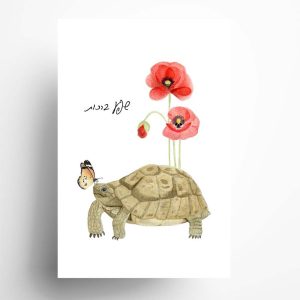 כרטיס ברכה צב יבשה